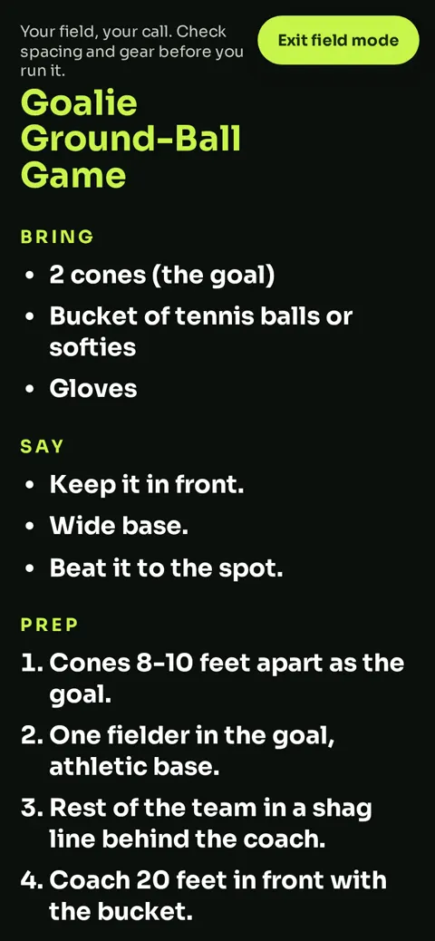 Field mode on a phone in giant high-contrast type